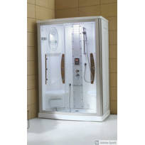 Mesa Steam Shower | Wayfair